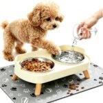 Elevated Double Pet Bowl Tray with Mat – Spill-Proof Feeding Station