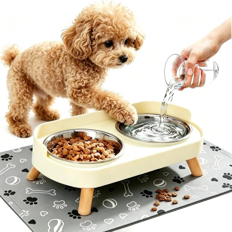 Elevated Double Pet Bowl Tray with Mat – Spill-Proof Feeding Station